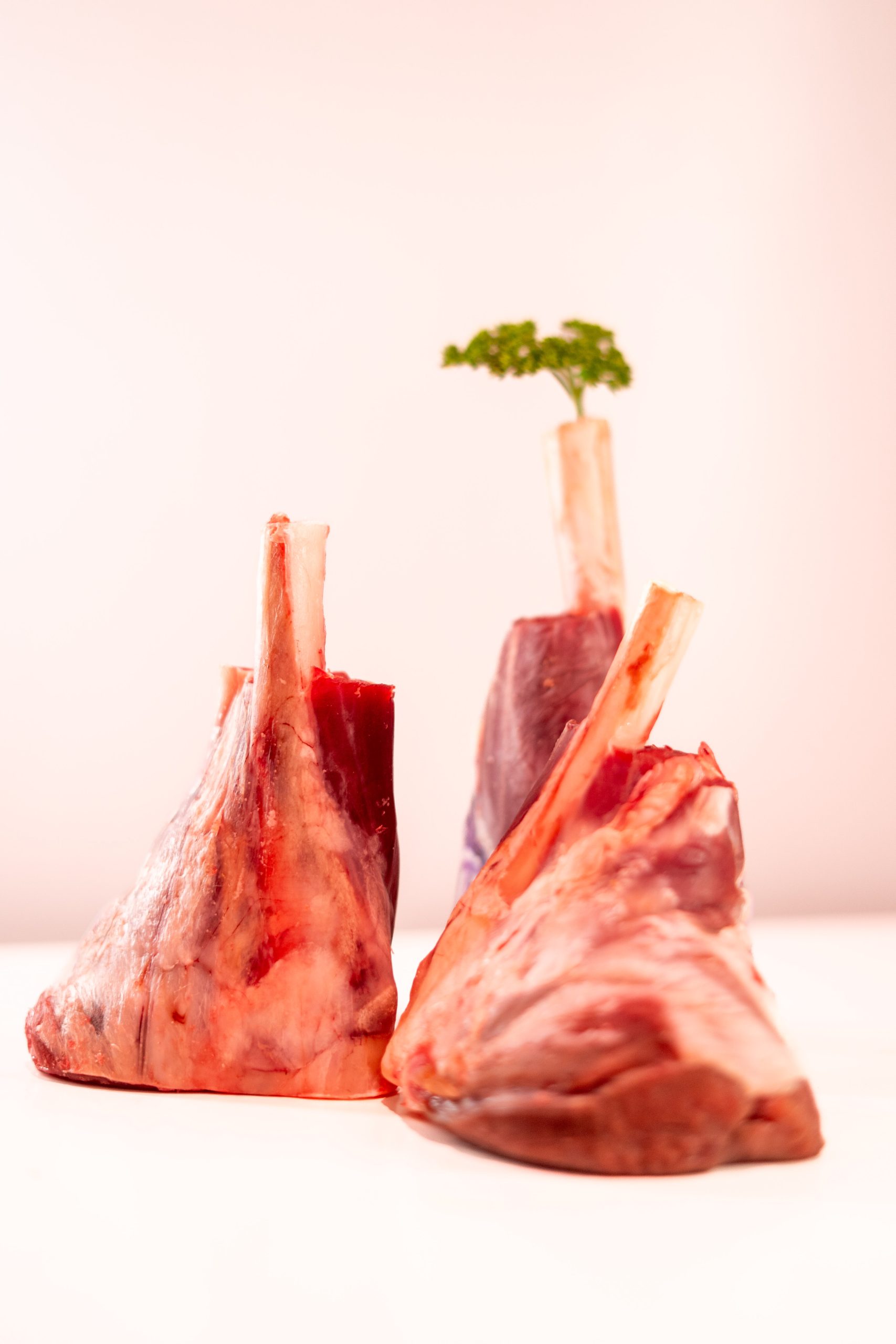 Lamb Shank - Image 3